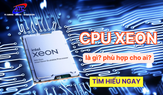 Chip Xeon Là Gì? Tại Sao Lại Phù Hợp Cho PC Chuyên Dụng?